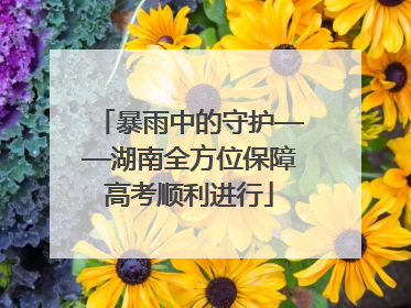 暴雨中的守护——湖南全方位保障高考顺利进行